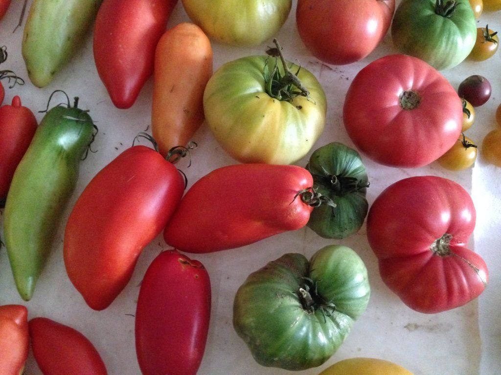 2019 Heirloom Plant Sale Update SOLD OUT