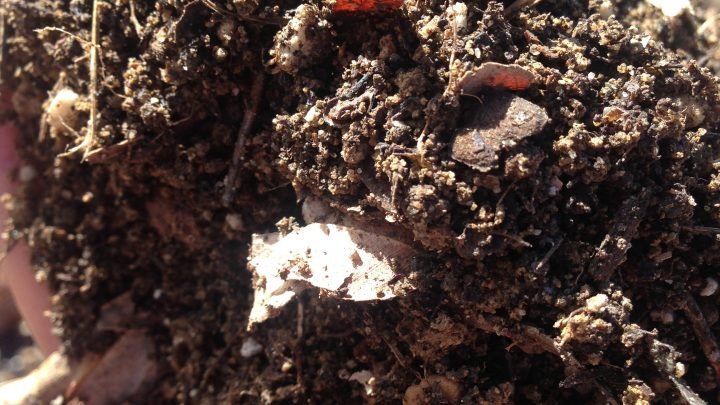 Transform Compacted Clay Soil in 5 Easy Steps