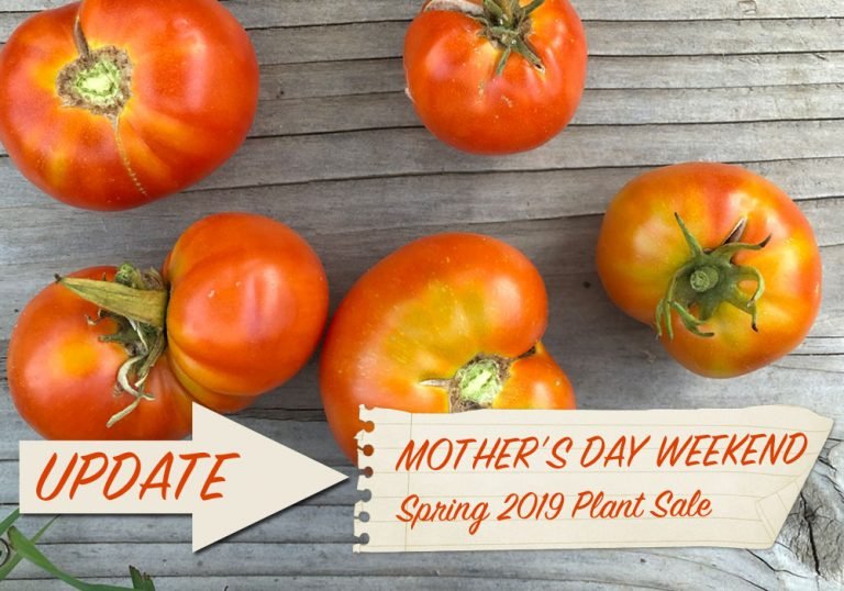 2019 Heirloom Plant Sale 10th Annual