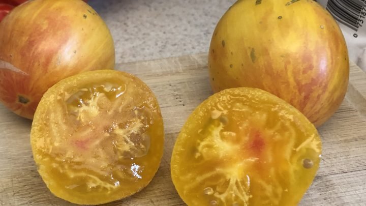 Lava Flow Heirloom Tomato of the Week