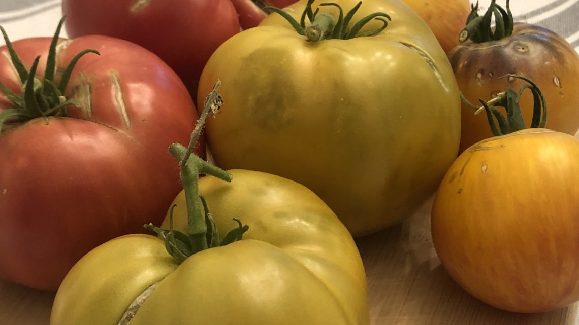 What are Heirloom Tomatoes and What Makes Them Unique?