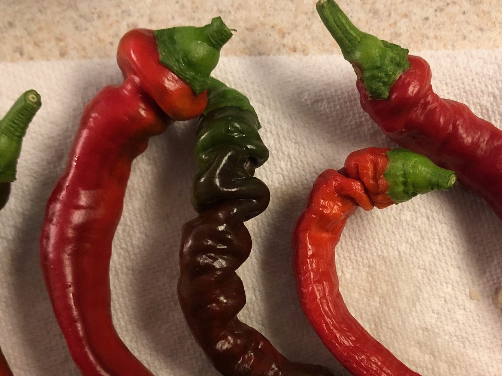 Ripe Jimmy Nardello Peppers
